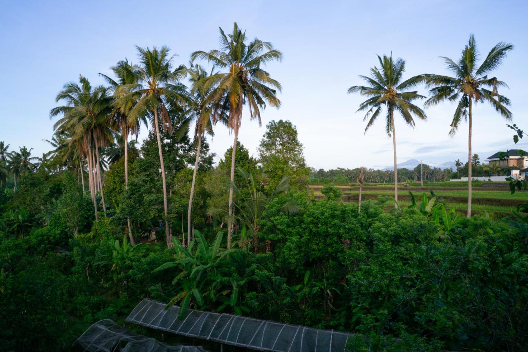 Karang Lila Bhuana Ubud エクステリア 写真